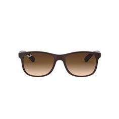 Ray-Ban MATTE BROWN RB4202 ANDY-607313 2