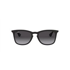 Ray-Ban RUBBER BLACK RB4221-622/8G 2