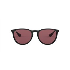 Ray-Ban Erika RB4171 601/5Q 2
