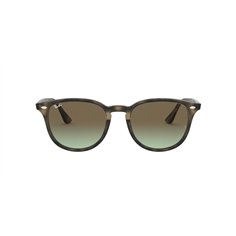 Ray-Ban  RB4259 731/E8 2