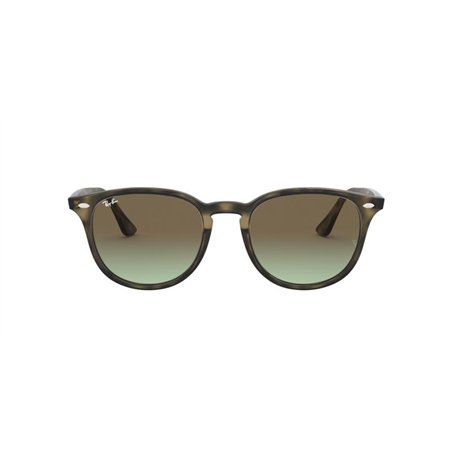 Ray-Ban RB4259 731/E8