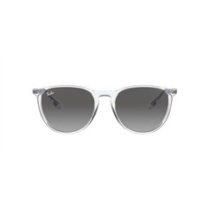 Ray-Ban ERIKA RB4171 651611 2