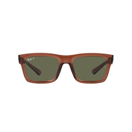 Ray-Ban WARREN RB4396 66789A