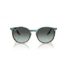 Ray-Ban RB2204 1394GK 2