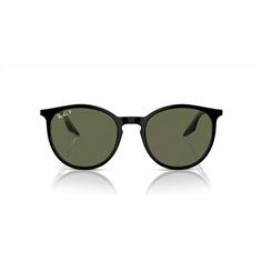 Ray-Ban RB2204 919/58 2