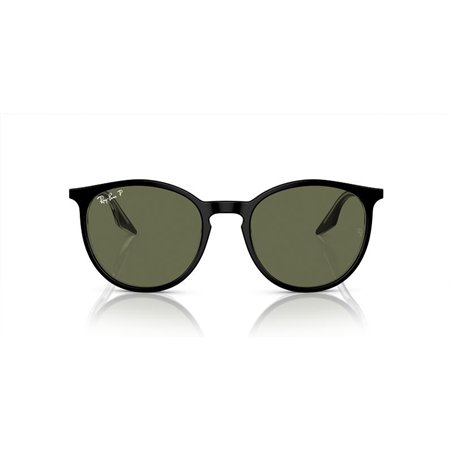 Ray-Ban RB2204 919/58