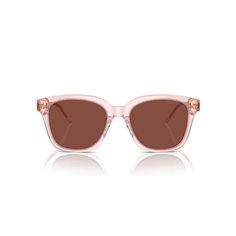 Giorgio Armani AR8210U 6073C5 2