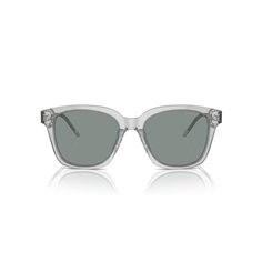 Giorgio Armani AR8210U 608056 2