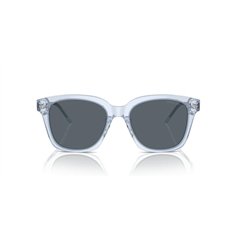 Giorgio Armani AR8210U 6081R5 2