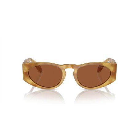 Giorgio Armani AR8216 597973