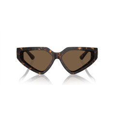 Dolce & Gabbana DG4469 502/73 2