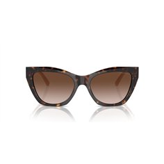 Emporio Armani EA4176 587913 2