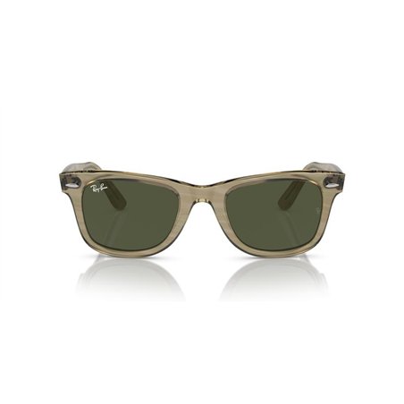 Ray-Ban WAYFARER RB2140 138731