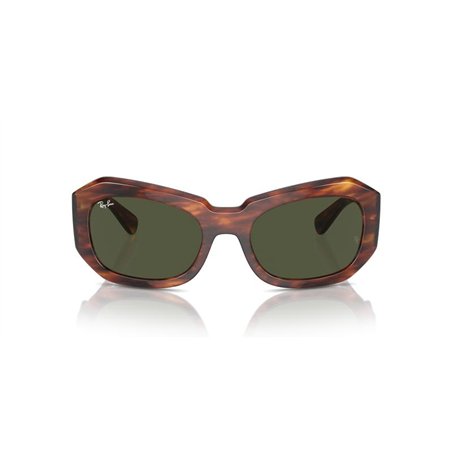 Ray-Ban BEATE RB2212 954/31