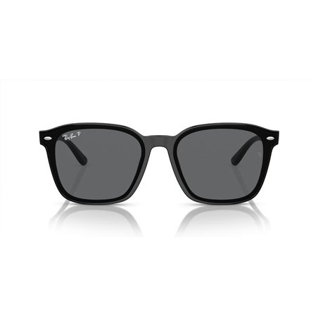 Ray-Ban RB4392D 601/81