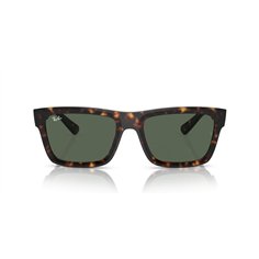 Ray-Ban WARREN RB4396 135971 2