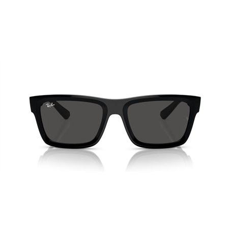 Ray-Ban WARREN RB4396 667787