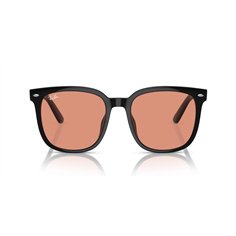 Ray-Ban RB4401D 601/74 2