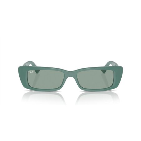 Ray-Ban TERU RB4425 676282