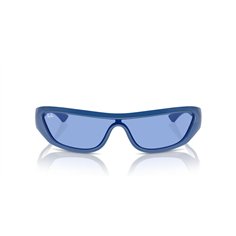 Ray-Ban XAN RB4431 676180 2
