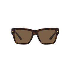 Dolce & Gabbana DG4431 502/73 2