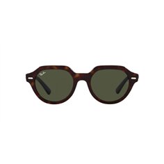 Ray-Ban GINA RB4399 902/31 2