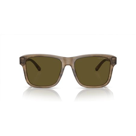 Emporio Armani EA4208 605573