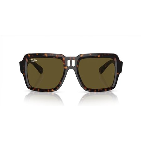 Ray-Ban MAGELLAN RB4408 135973