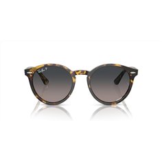 Ray-Ban LARRY RB7680S 1332GL 2