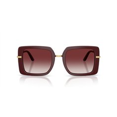 Dolce & Gabbana DG4491 30918H 2