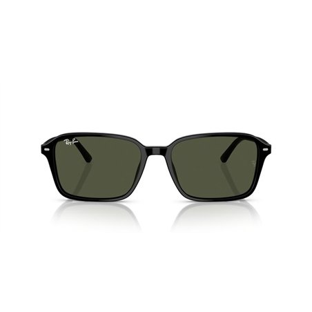 Ray-Ban RAIMOND RB2231 901/31
