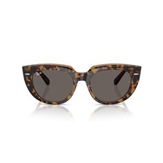 Ray-Ban DOREEN RB2286 1292B1 2