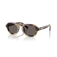 Giorgio Armani AR8244 6301B1