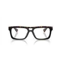 Dolce & Gabbana DG3431 3417 2