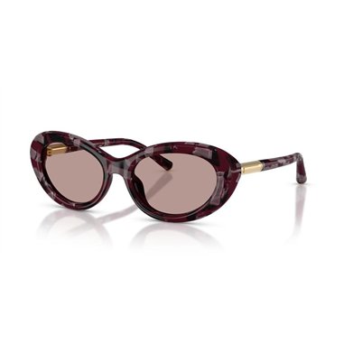 Dolce & Gabbana DG4519 34647N