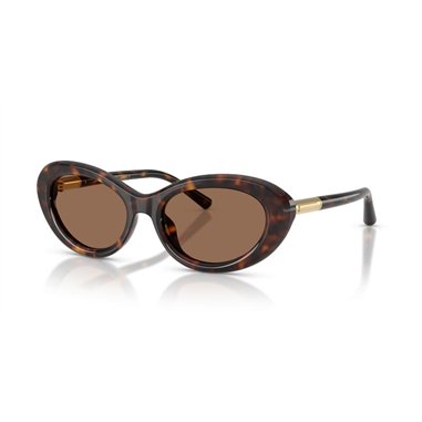 Dolce & Gabbana DG4519 502/73