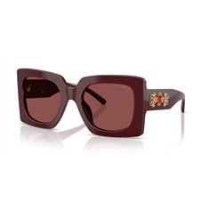 Dolce & Gabbana DG4525B 309175