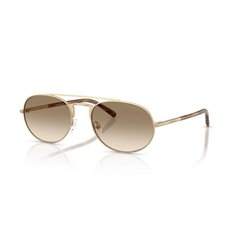 Emporio Armani EA2171 300213