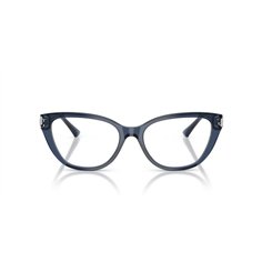 Jimmy Choo JC3011 5035 2