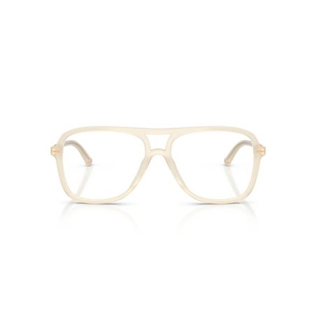 Jimmy Choo JC3052U 5089