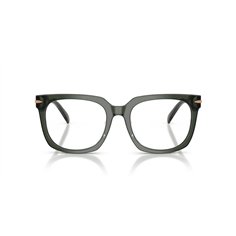 Michael Kors ONTARIO MK4176U 3961 2