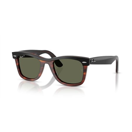 Ray-Ban WAYFARER RB2240 144058