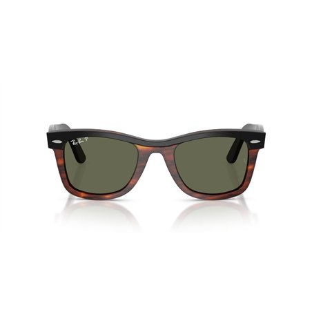 Ray-Ban WAYFARER RB2240 144058