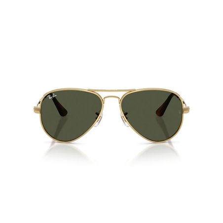 Ray-Ban AVIATOR MAX RB3925 001/31