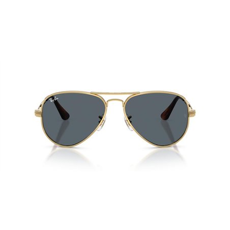 Ray-Ban AVIATOR MAX RB3925 001/R5