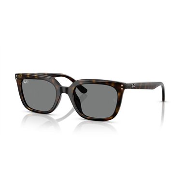 Ray-Ban RB4439D 710/87