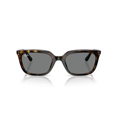 Ray-Ban RB4439D 710/87 2