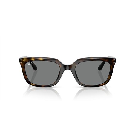 Ray-Ban RB4439D 710/87