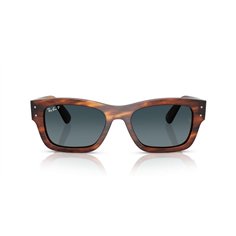 Ray-Ban JOSEPH RB7683S 954/S3 2