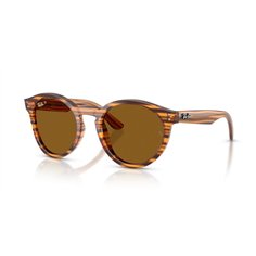 Ray-Ban RBR0505S 679183